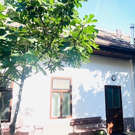 Jokai Apartman 科马尔诺 外观 照片