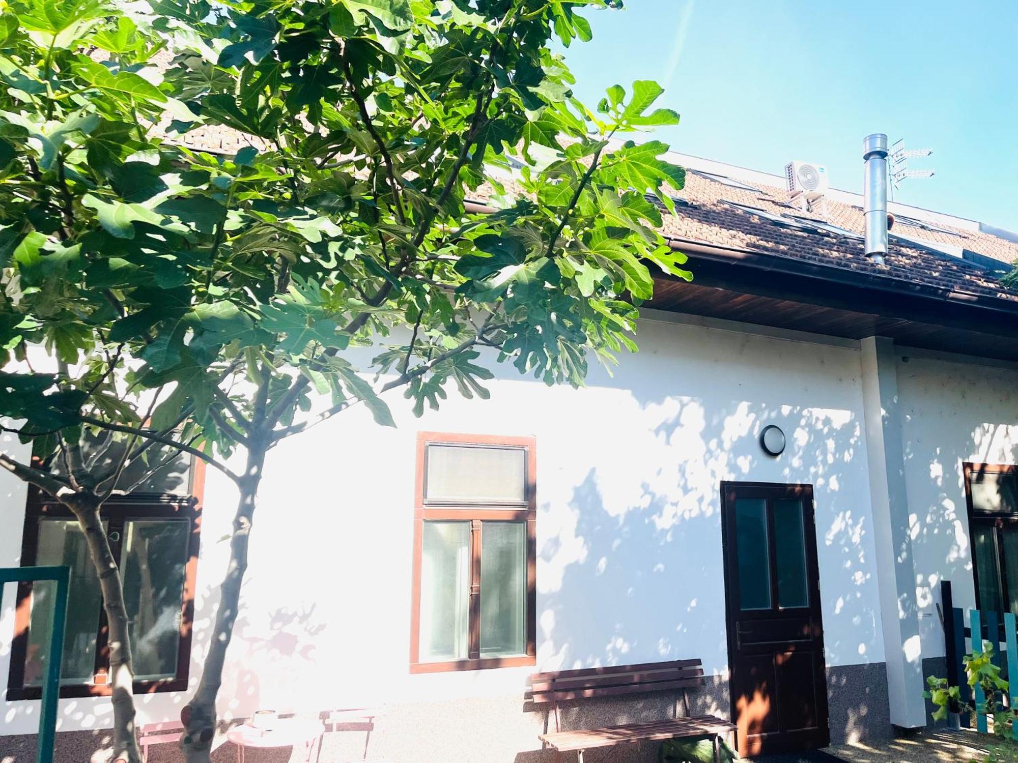 Jokai Apartman 科马尔诺 外观 照片